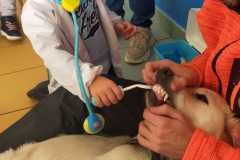 IMG-20240211-WA0018